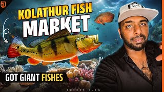 Setting Up My GIANT Fish Tank - Result என்ன ஆச்சு? | Cherry Vlogs