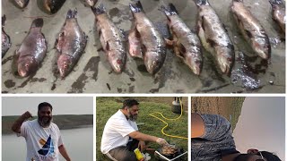 Mangla dam fish hunting🎣🐟