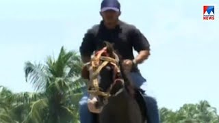 ഹർത്താൽ ദിനത്തില്‍ കുതിരസവാരി പഠിത്തം | Malappuram | horse riding