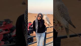 Desert safari Dubai 😍😂😂😂 |sidhu \u0026 Shreya #shorts