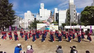 俄嘉屋　2024うらじゃ2日目 中央町下田町公園演舞場