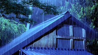 Rain and thunder noise for sleep - White noise for sleep, rain in the forest to calm  nervous system