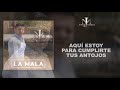 jorge medina la mala lyric video