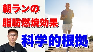 朝ランすると脂肪燃焼が促進される科学的根拠