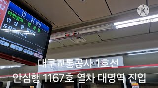 대구교통공사 1호선 안심행 1167호 열차 대명역 진입 #2024