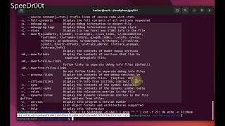 [Golang] How to execute shellcodes form memory in Golang