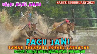 DI SELIMUTI KABUT❗❗❗❗ PEMBUKAAN PACU JAWI SAWAH SUBARANG JORONG LABUATAN