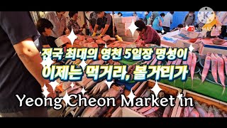 영천재래시장 5일장 먹거리, 볼거리 민속 5일장 투어Yeong Cheon Market in #5일장 #재래시장  #먹거리 #볼거리 #전통시장 #장날 #오일장