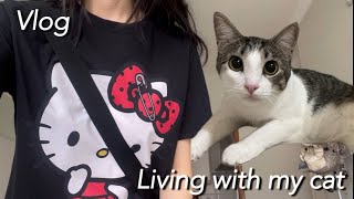 Vlog | 🐈고양이와 단둘이 살아요 | 예고없이 단수가 되는 나라 에서 살아남는 법 | 쓸데없는 쇼핑기록