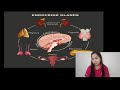 Virtual Demo Teaching CO3 (Endocrine System)