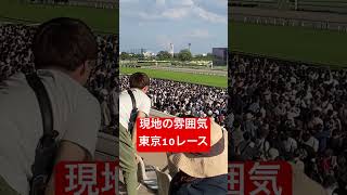 【現地の雰囲気】東京10レース #競馬 #東京競馬場