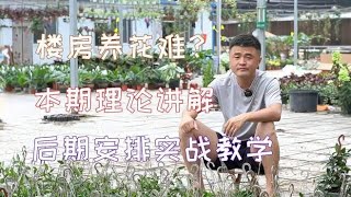 楼房养花难？高层养花更难？楼房养花理论讲解。养花必懂小知识。