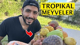 Miami'de Tropikal Meyve Tadımı || Daha Önce Hiç Görmediğimiz Meyveler