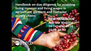 Launch of OECD Handbook on Living Income and Living Wage Due Diligence