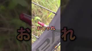 【Cannondale】他人の愛車を語ってみた　#shorts #ロードバイク #cannondale