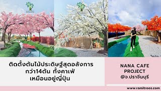 อลังการเวอร์ เหมือนอยู่ญี่ปุ่น ติดตั้งต้นไม้ประดิษฐ์กว่า 14 ต้น @NANA Cafe' | Ramitrees - รมิทรี