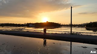 新竹芎林：傍晚時分田中之鏡   （Hsinchu: mirror of farmland)