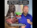 Gelenkschmerzen Beim Hund - Tierarzt Matej Zupanc