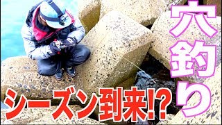 ついに穴釣りシーズン到来!?ポンコツ３人の高級魚釣り！