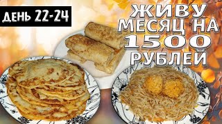 Выживаю месяц на 1500 рублей. Осень 2024 год. День 22-24.