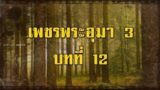 เพชรพระอุมา ภาคที่ 3 มงกุฎไพร บทที่ 12 | สองยาม