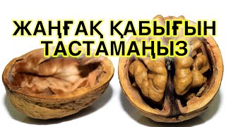 ЖАҢҒАҚ ҚАБЫҒЫН ТАСТАМАЙ ҚОЛДАНСАҢЫЗ АҒЗАҢЫЗДАН ӨЗГЕРІС БАЙҚАЙСЫЗ. Жаңғақтың пайдасы