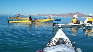 Sea Kayaking \u0026 Marine Natural History