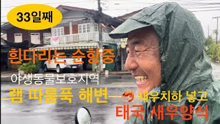 태국새우양식 | อาหารกุ้ง | 램따룸푹