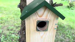 Garden Birdhouse with Metal Predator Guard Outdoor Wooden Bird house Bluebird Cardinal Swallow Finch