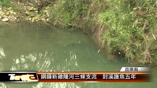 銅鑼新雞隆河三條支流  封溪護魚五年│T-NEWS聯播網