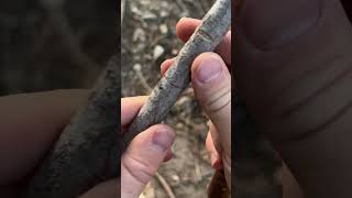 How to carve a WILLOW WHISTLE
