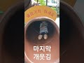 축구선수 세레머니 따라하기 마지막 개 웃김