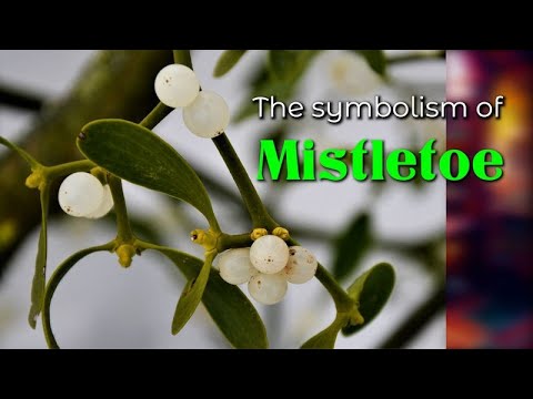 The Symbolism Of Mistletoe - YouTube