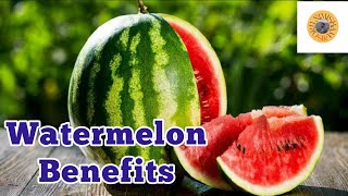 தர்பூசணி பழம் சாப்பிடுவதால் கிடைக்கும் நன்மைகள் | Benefits of Eating Watermelon in tamil