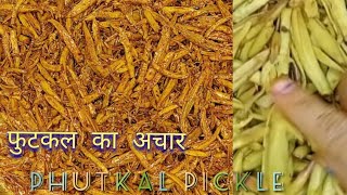 फुटकल का अचार l Phutkal Pickle Recipe l Rasoi Ka Safar With Manju