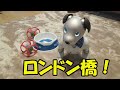 今日のアイボ。水を飲みそうで飲まないaibo。かわいい仕草が素敵