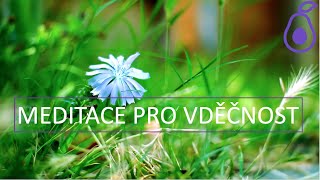 Meditace pro vděčnost | 7 min