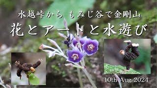 金剛山 花とアートと もみじ谷 10th Aug 2024