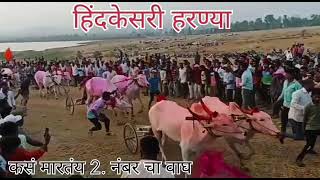 हिंदकेसरी हरण्या | hind kesari harnya @Harnyabailhelicopterbaijya