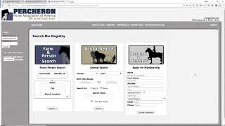 Digital Horses Home Page