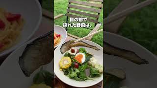 淡路島で知らなきゃ損！無農薬の自然派ランチ🌱 #shorts #vegetables