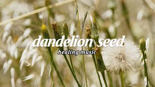 (행복해지는  3분 음악♫/  new Relaxing healing music)  dandelion seed  민들레 홀씨되어    #힐링음악