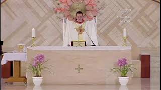 Santa Missa Ao Vivo - TV Canção Nova