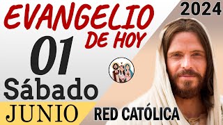 Evangelio de Hoy Sabado 01 de Junio de 2024 | REFLEXIÓN | Red Catolica