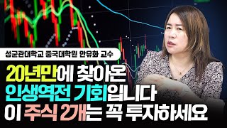 20년만에 찾아온 인생역전 기회입니다. 이 주식 2개는 꼭 투자하세요｜안유화 교수 2부