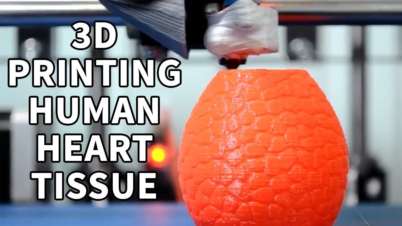 3D Bioprinting Technology | Heart Tissues Created By 3D Bioprinting ...