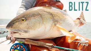 TFO Blitz Moments | BULL REDFISH