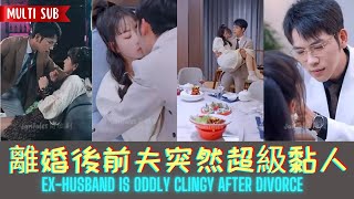 [MULTI SUB]  離婚後前夫突然超級黏人 Ex-Husband Is Oddly Clingy After Divorce FULL EPISODE #短劇 #都市 #熱門短劇 #cdrama