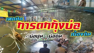 วิธีการตกกุ้งบ่อ | เบื้องต้น |