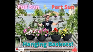 Full Sun and Part Sun Hanging Baskets!!!